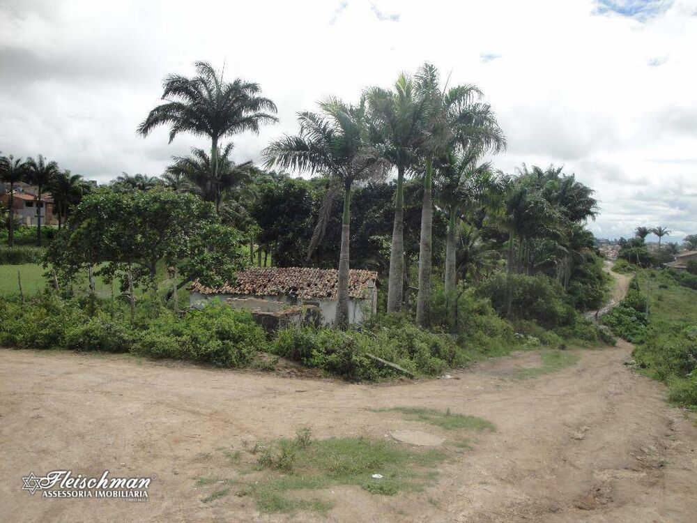 Terreno à venda, 2M2 - Foto 3