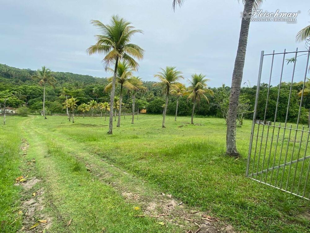 Chácara, 3 hectares - Foto 1