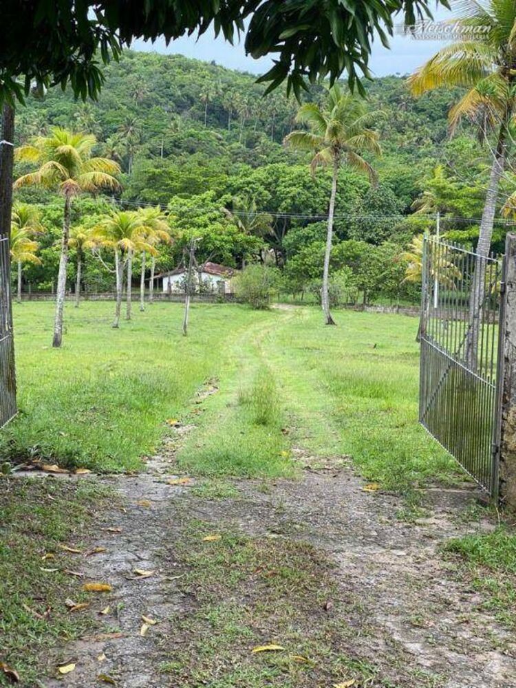 Chácara, 3 hectares - Foto 2