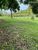 Chácara, 3 hectares - Foto 3