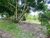 Chácara, 3 hectares - Foto 4