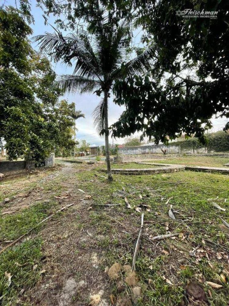 Sítio, 3 quartos, 9000 m² - Foto 7