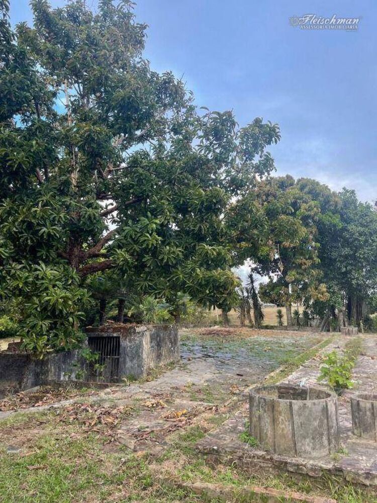 Sítio, 3 quartos, 9000 m² - Foto 9