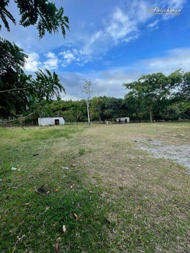 Sítio, 3 quartos, 9000 m² - Foto 2