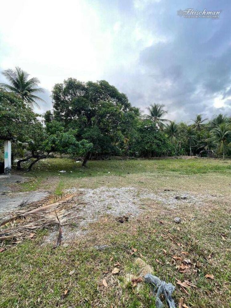 Sítio, 3 quartos, 9000 m² - Foto 14