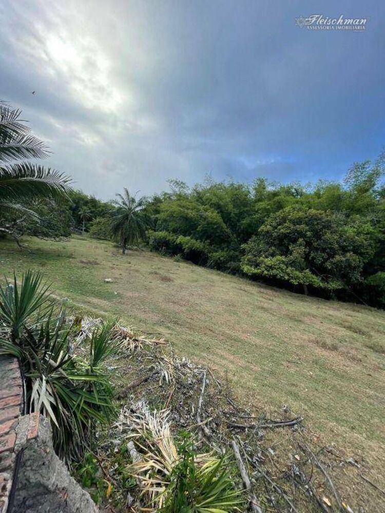 Sítio, 3 quartos, 9000 m² - Foto 13