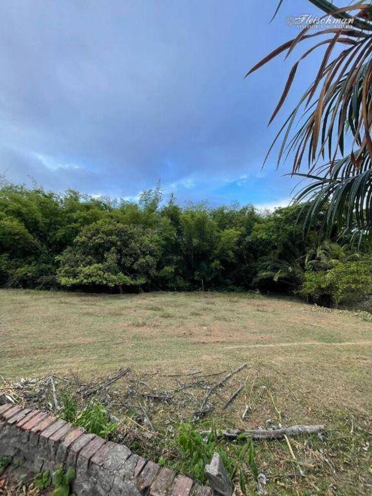 Sítio, 3 quartos, 9000 m² - Foto 12