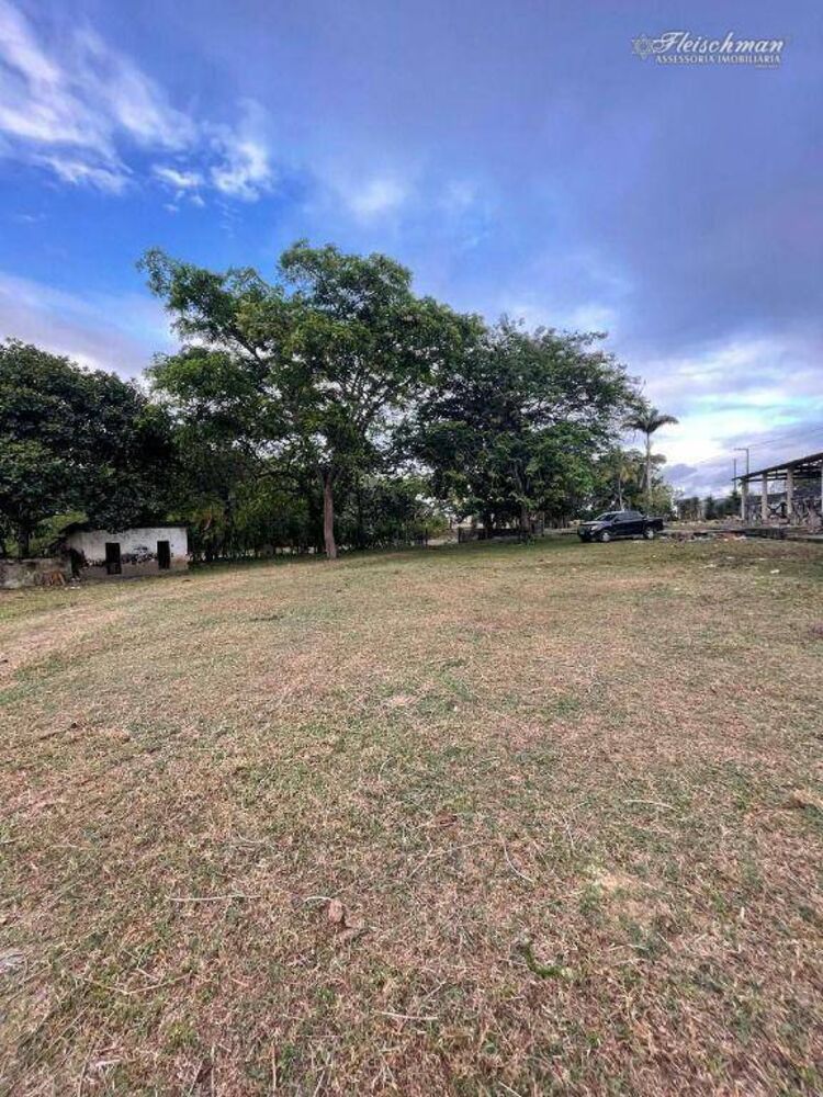 Sítio, 3 quartos, 9000 m² - Foto 3