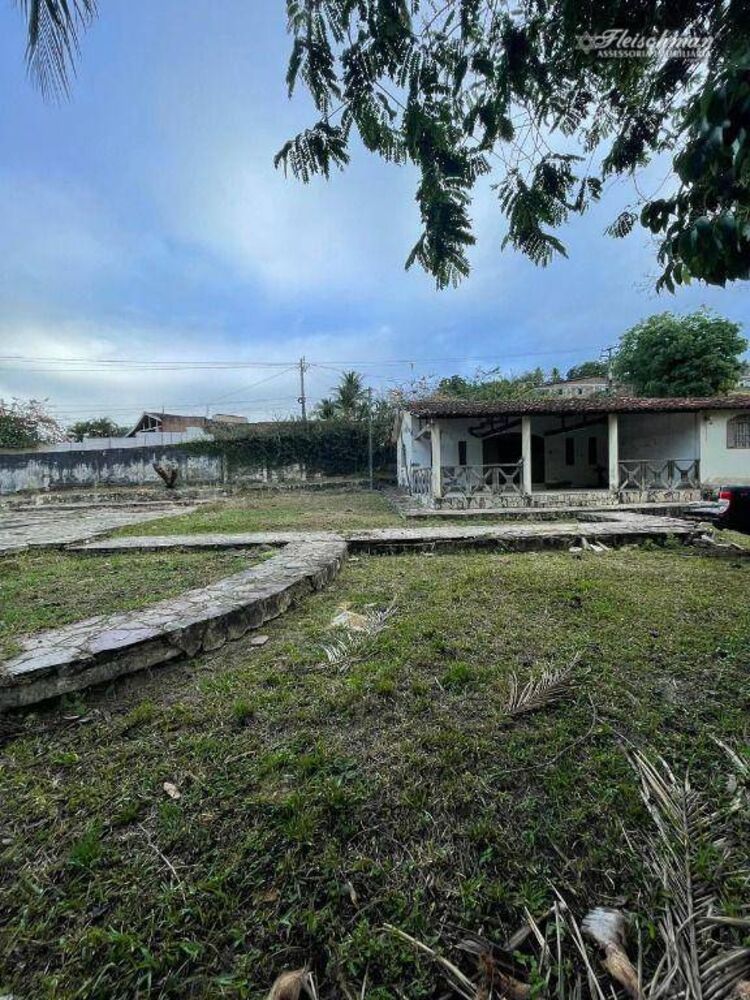 Sítio, 3 quartos, 9000 m² - Foto 6