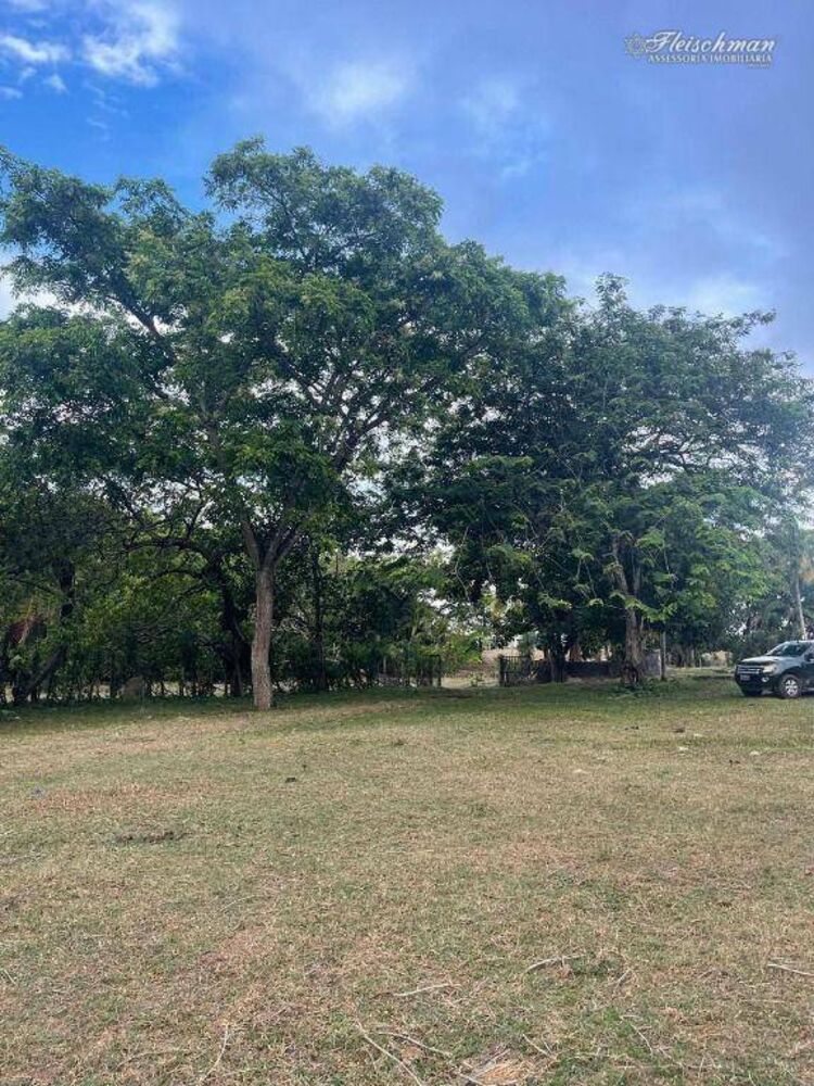 Sítio, 3 quartos, 9000 m² - Foto 4