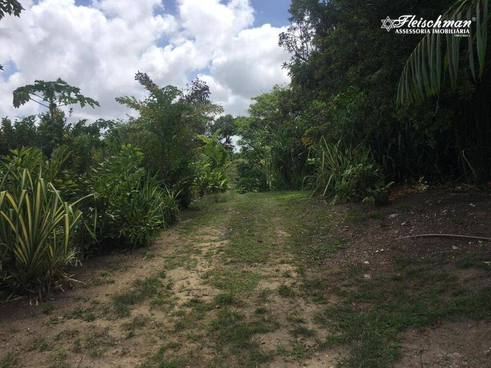 Fazenda à venda com 3 quartos, 66150M2 - Foto 12