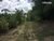 Fazenda-Sítio-Chácara, 7 hectares - Foto 12