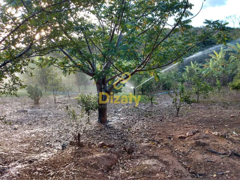 Fazenda, 4 quartos - Foto 3