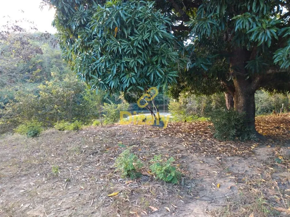 Fazenda, 4 quartos - Foto 4