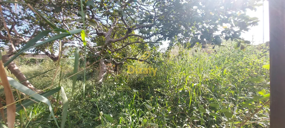Terreno, 360 m² - Foto 4