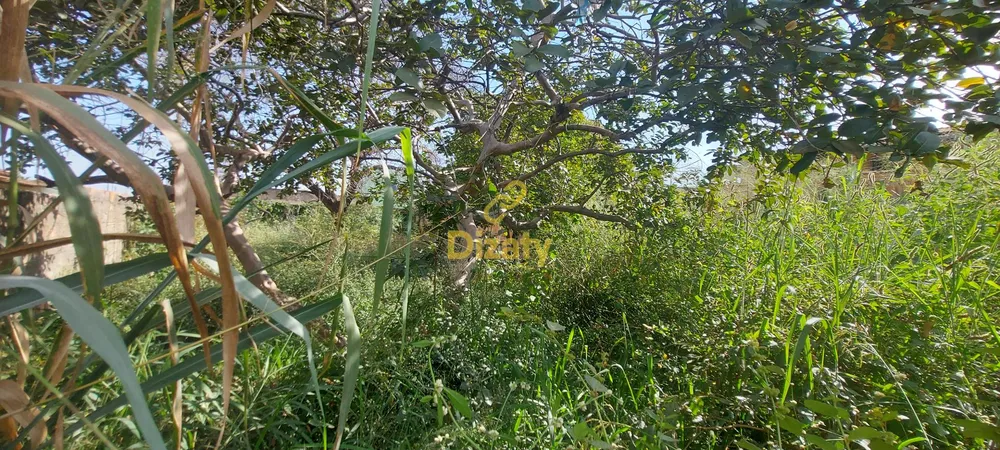 Terreno, 360 m² - Foto 3