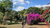 Sítio, 13 quartos, 23 hectares - Foto 4