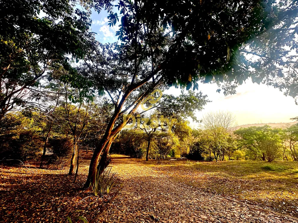 Chácara, 6 quartos, 2 hectares - Foto 12