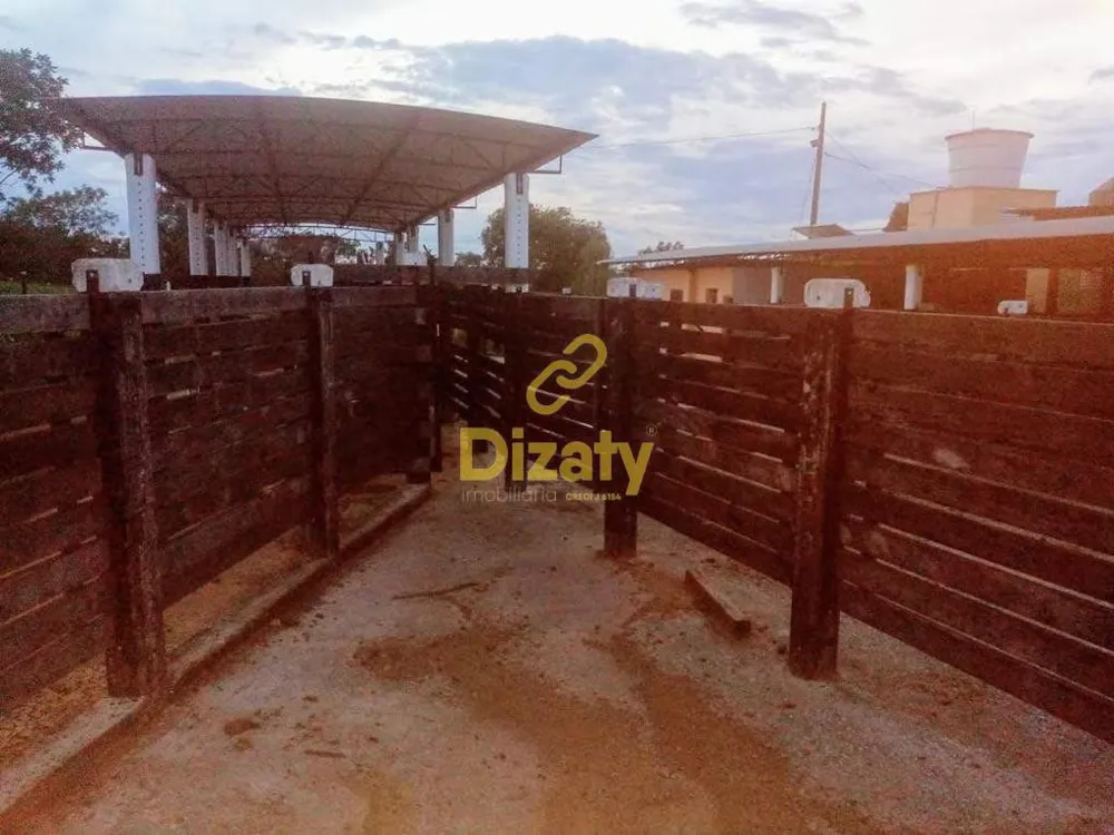Fazenda - Foto 12
