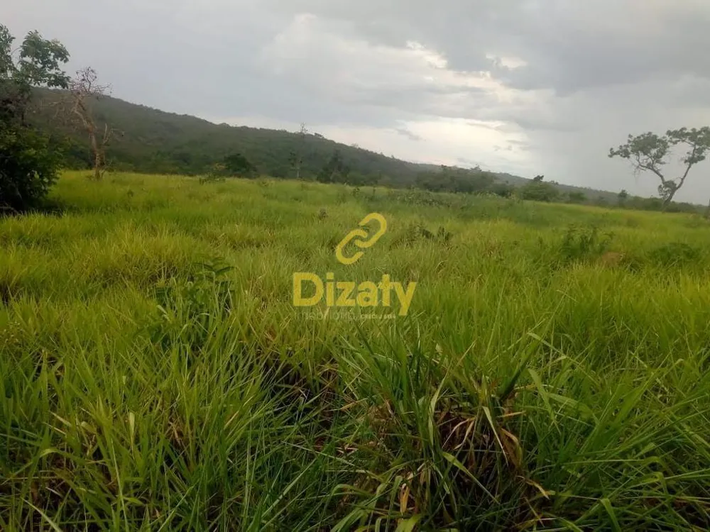 Fazenda - Foto 4
