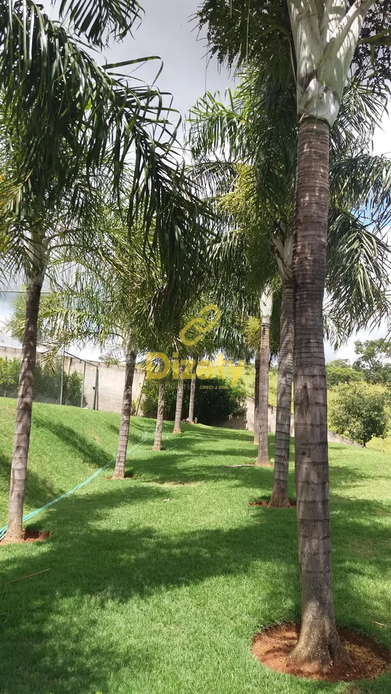 Terreno, 594 m² - Foto 3