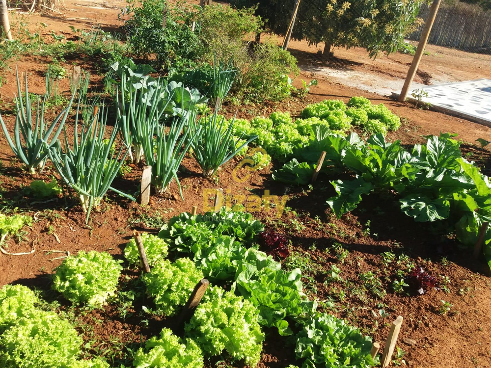 Chácara à venda com 2 quartos - Foto 4