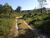 Fazenda-Sítio-Chácara - Foto 5