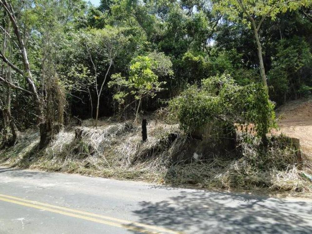 Terreno, 1000 m² - Foto 3