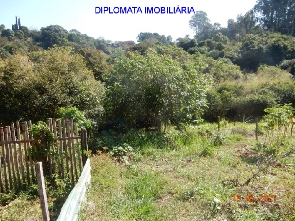 Chácara, 4 quartos, 7000 m² - Foto 6