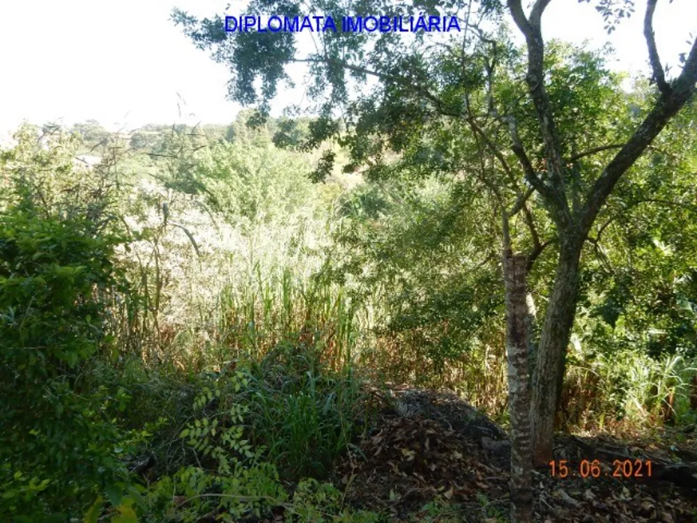 Chácara, 4 quartos, 7000 m² - Foto 1