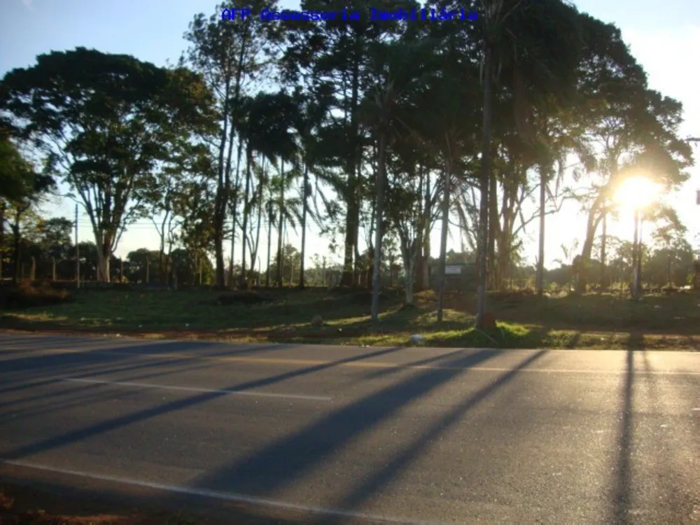 Terreno, 24000 m² - Foto 12