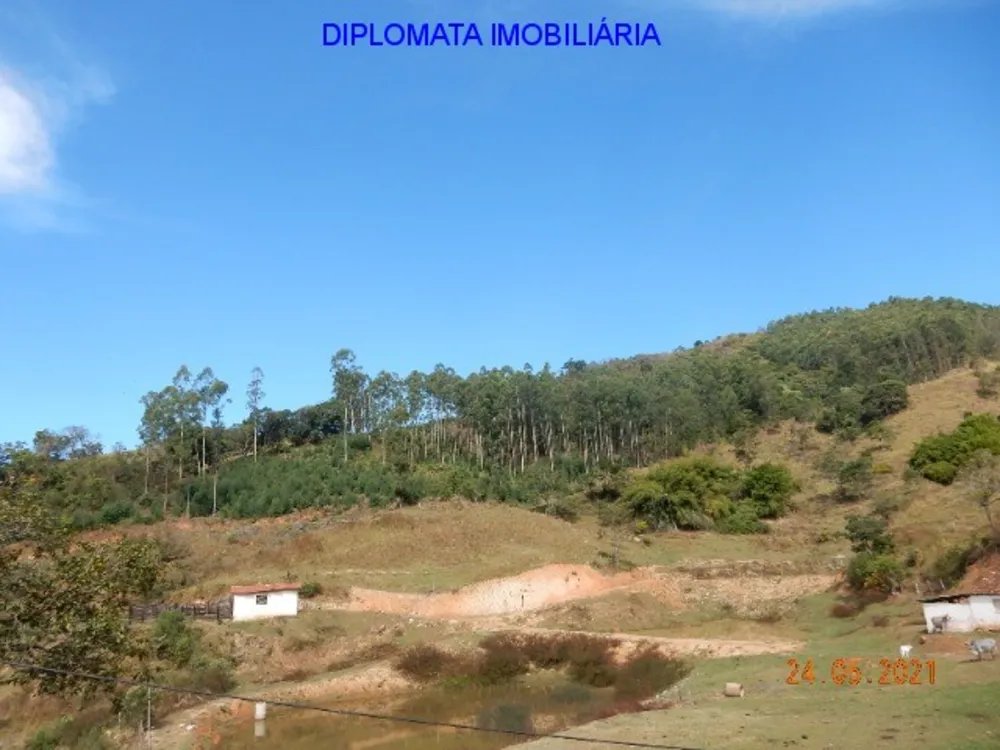 Sítio, 7 quartos, 73 hectares - Foto 13