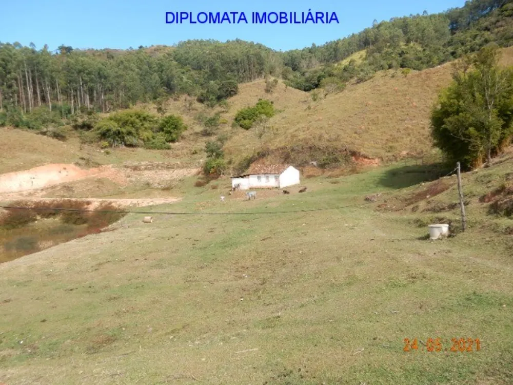Sítio, 7 quartos, 73 hectares - Foto 10