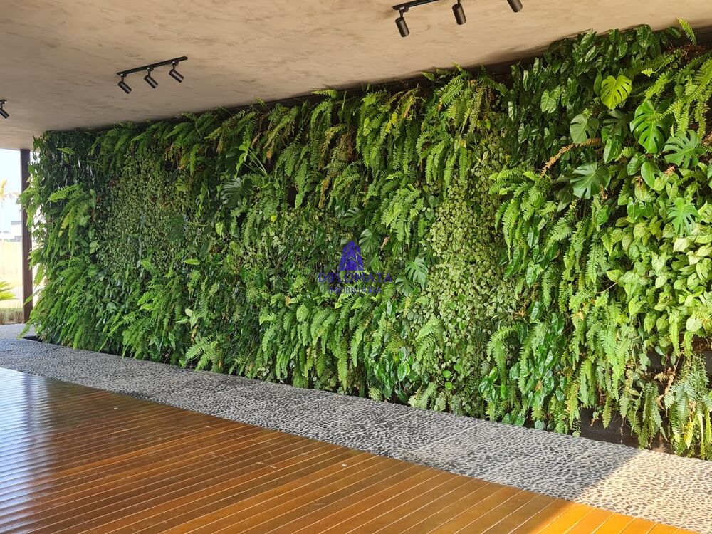 Terreno, 420 m² - Foto 7