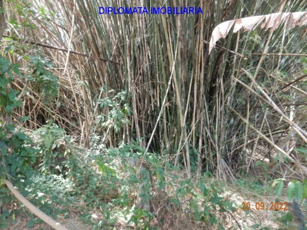 Chácara, 3 quartos, 1 hectares - Foto 10