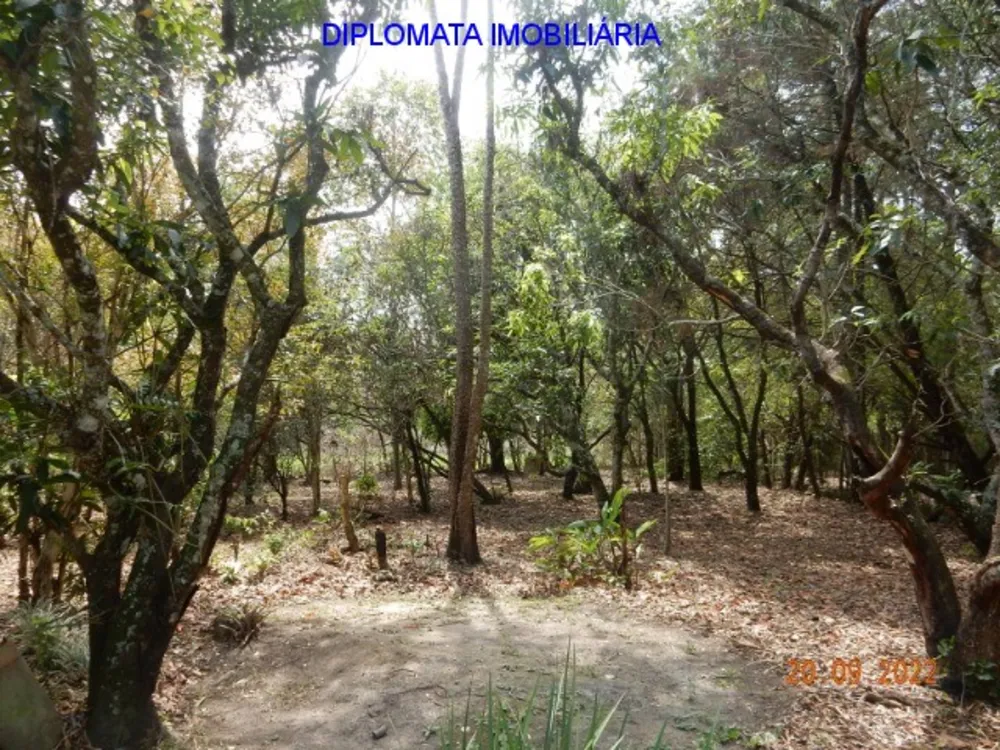 Chácara, 3 quartos, 1 hectares - Foto 4