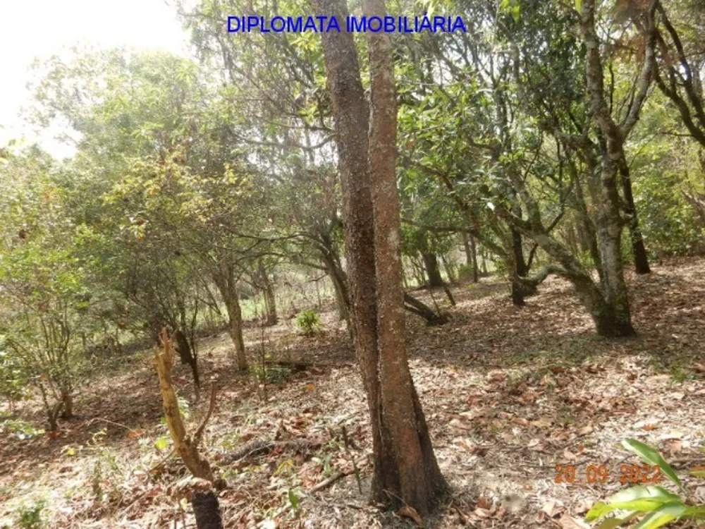 Chácara, 3 quartos, 1 hectares - Foto 11