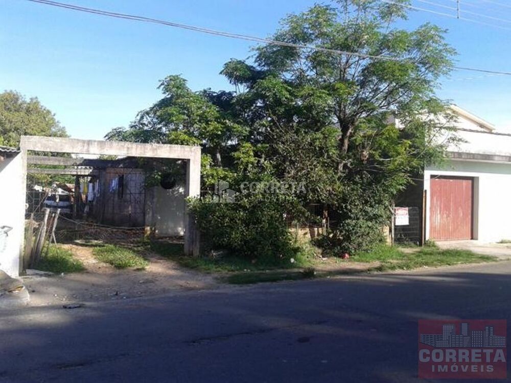Terreno, 292 m² - Foto 3