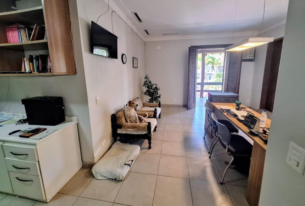 Casa, 6 quartos, 762 m² - Foto 42