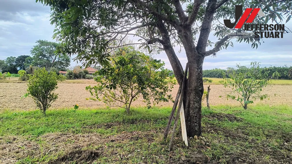 Sítio, 2 quartos, 3 hectares - Foto 4