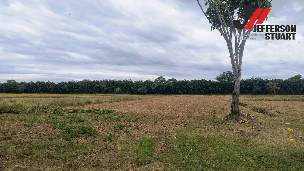 Sítio, 2 quartos, 3 hectares - Foto 8