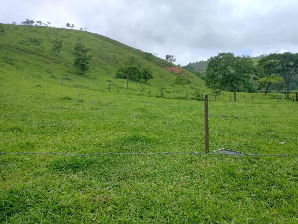 Terreno, 1279 m² - Foto 1