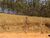 Terreno, 1020 m² - Foto 5
