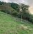 Terreno, 800 m² - Foto 2
