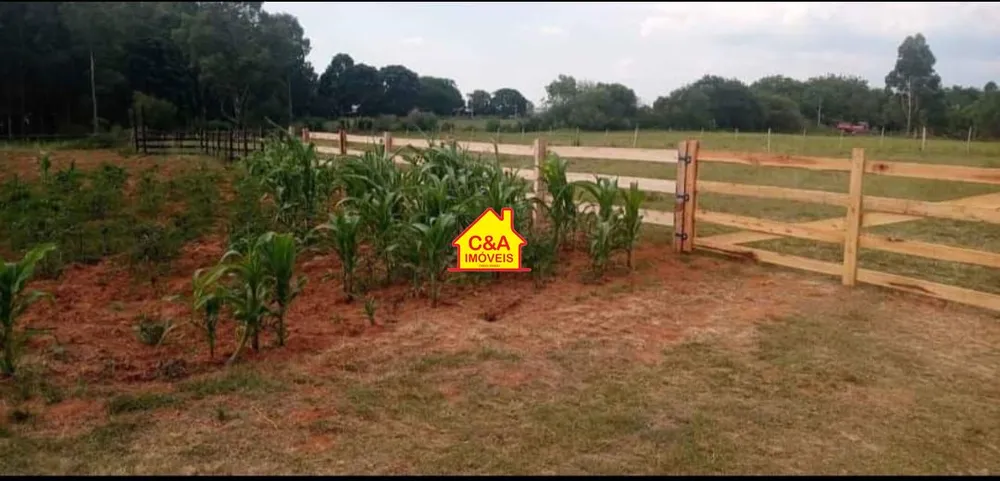 Chácara, 1 quarto, 10000 m² - Foto 2