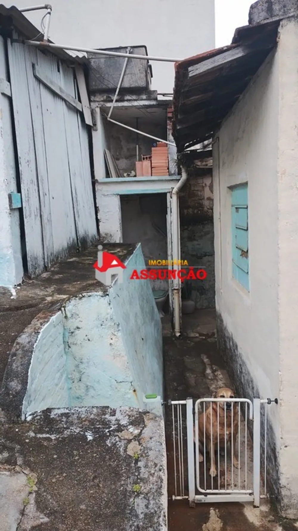 Imóvel Comercial, 37 m² - Foto 4