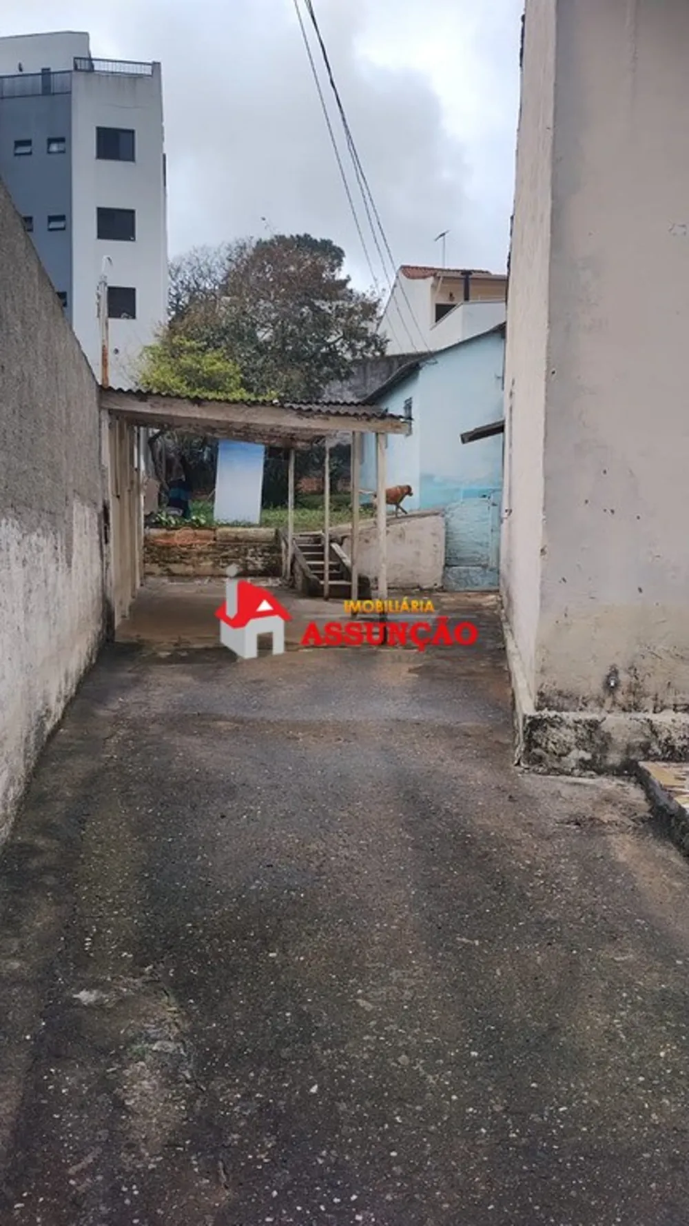Terreno, 5207 m² - Foto 1
