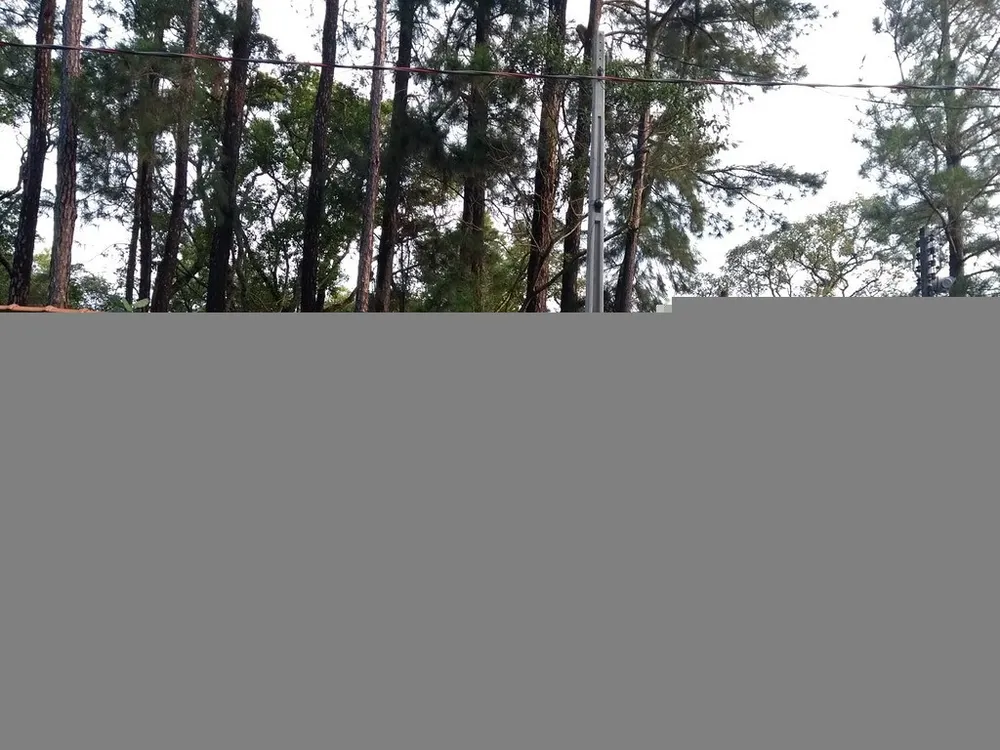 Chácara, 3000 m² - Foto 1