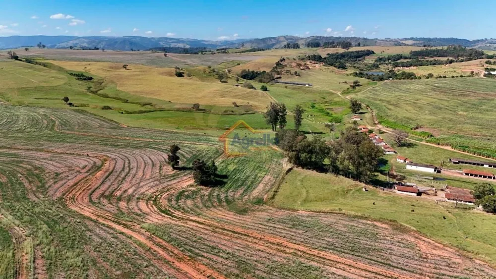 Fazenda, 218 hectares - Foto 3
