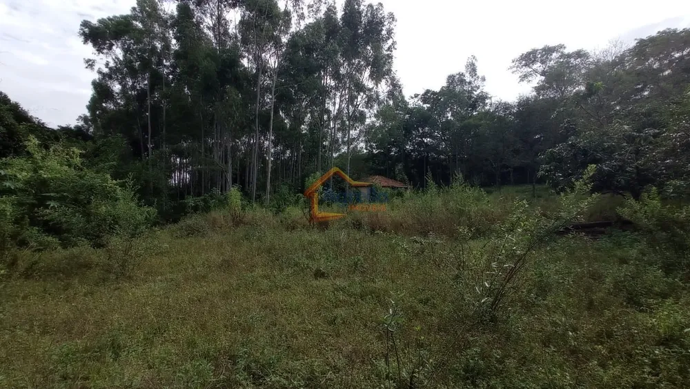 Sítio, 3 quartos, 3 hectares - Foto 3